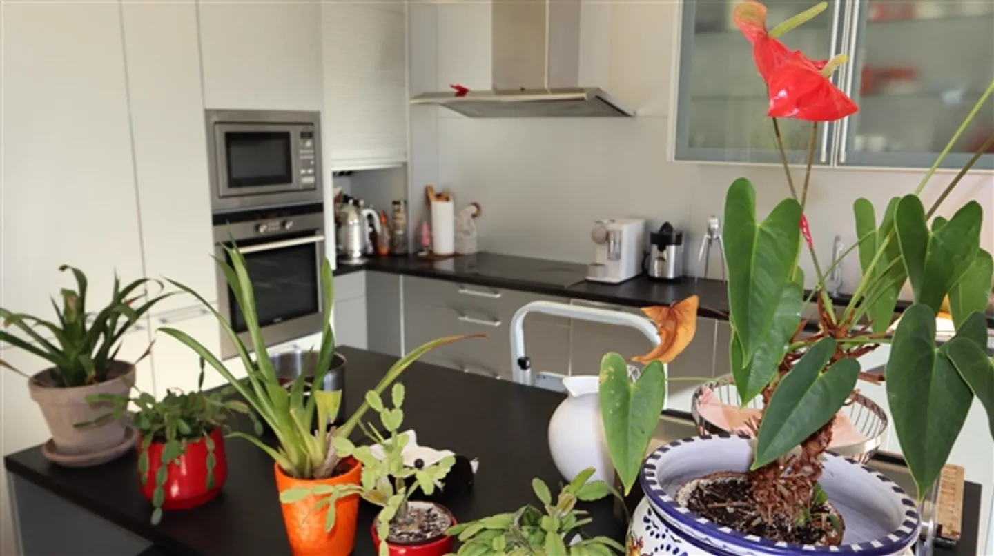 «Charmantes Schweizer Dorfhaus mit Pool und Spa» - Foto 12 von 20