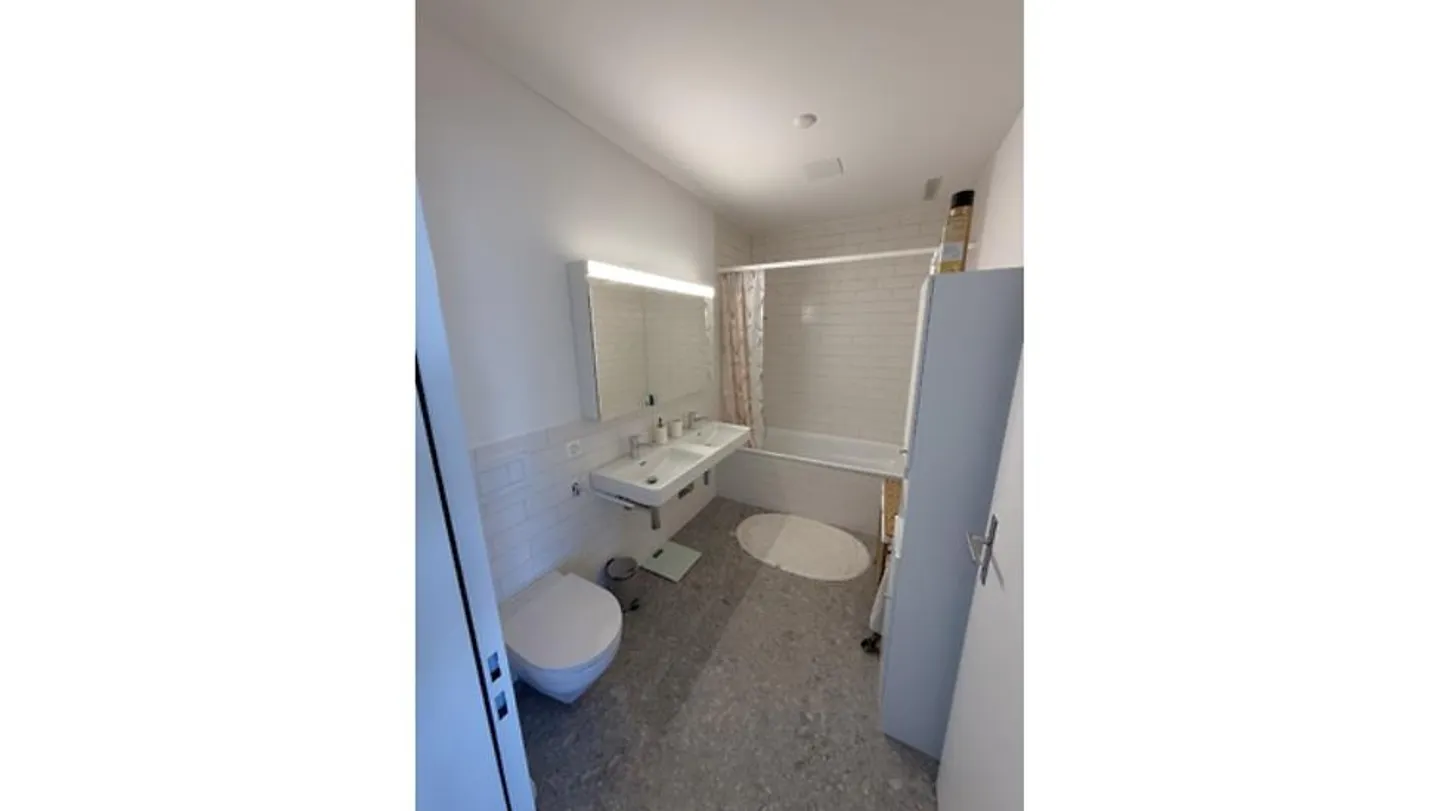 3½ ROOM APARTMENT IN WALLISELLEN (ZH), FURNISHED, TEMPORARY - Photo 7 of 9