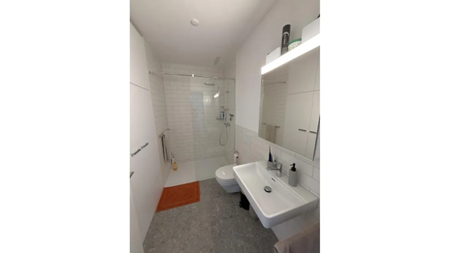 3½ ROOM APARTMENT IN WALLISELLEN (ZH), FURNISHED, TEMPORARY - Photo 8 of 9