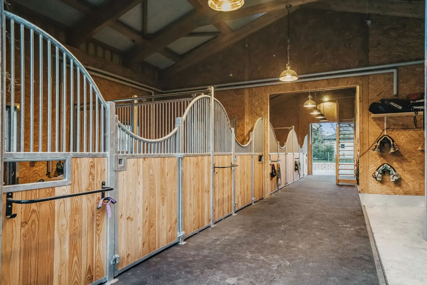 Quality of Life for You and Your Horses at the Foot of the Jura - Photo 12 of 16