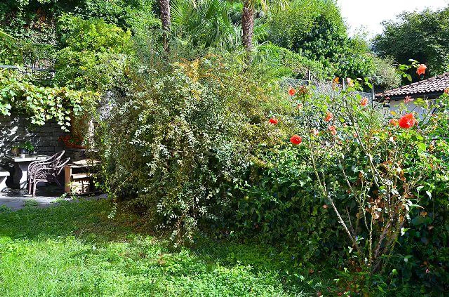 «4,5-Zimmer-Doppeleinfamilienhaus Orselina» - Foto 5 von 10