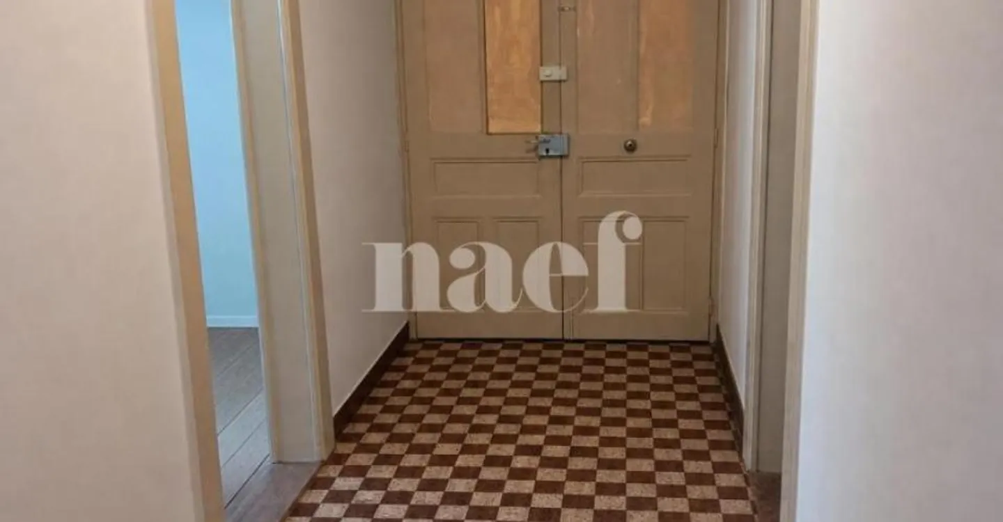 1° affitto netto offerto - Appartamento di 3 stanze in centro - Foto 2 di 6