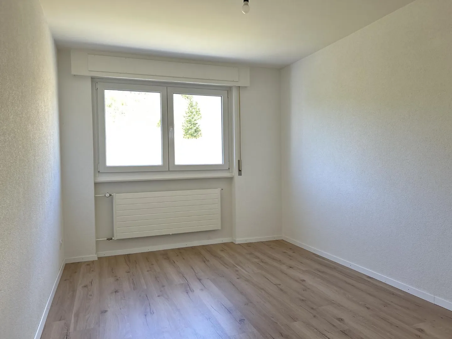 3.5 Room Apartment - Photo 5 of 9