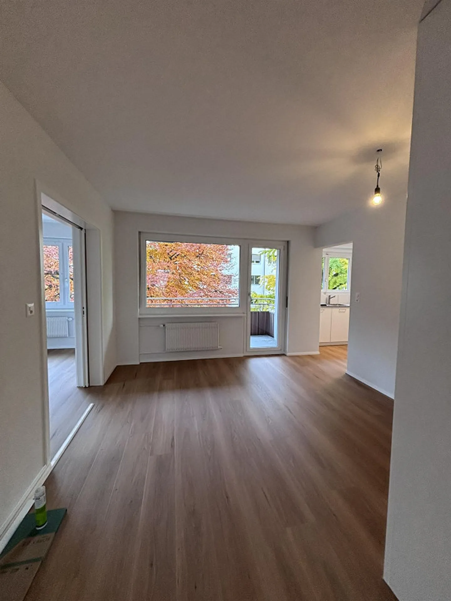 Prima occupazione dopo modernizzazione: appartamento di 4,5 stanze in Scherzligweg! - Foto 2 di 13
