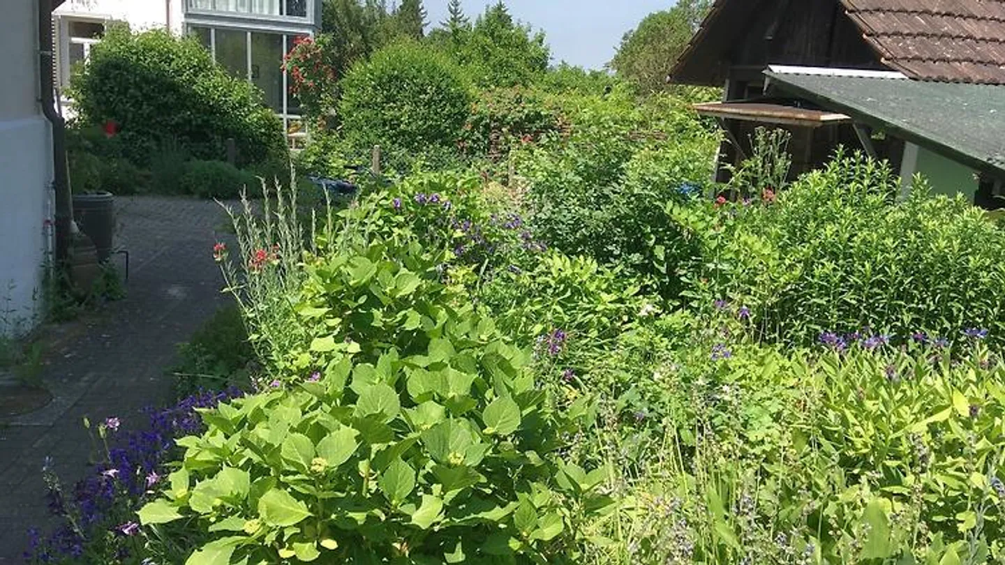 3½ ROOM MAISONETTE APARTMENT IN FRAUENFELD (TG), FURNISHED, TEMPORARY - Photo 3 of 3