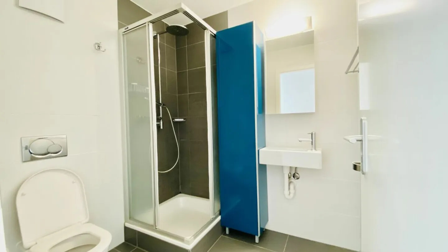 Attique à vendre - Photo 8 sur 15