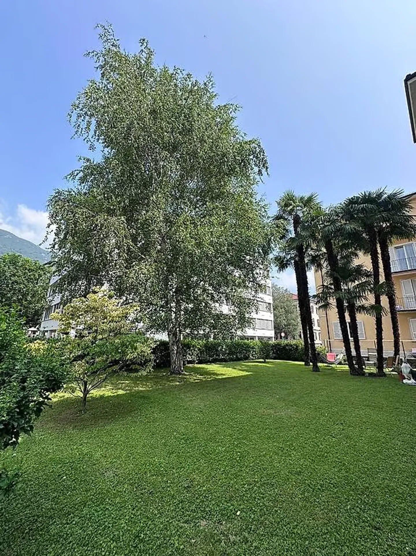 5.5 Zimmer Bellinzona Quartier San Giovanni - Foto 4 von 9
