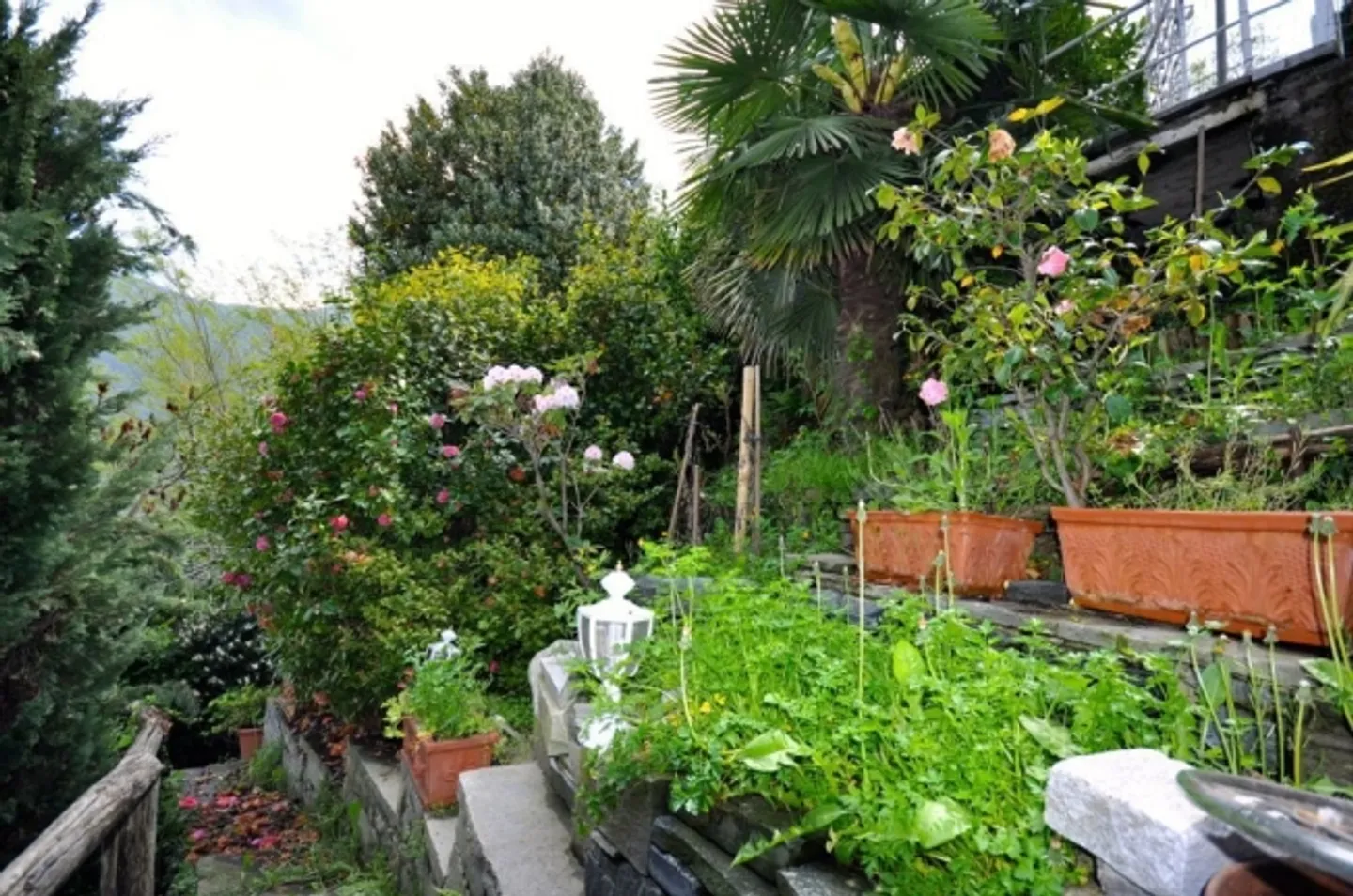 Terreno edificabile con vista sul lago di Lugano a Paradiso in vendita - Foto 5 di 5
