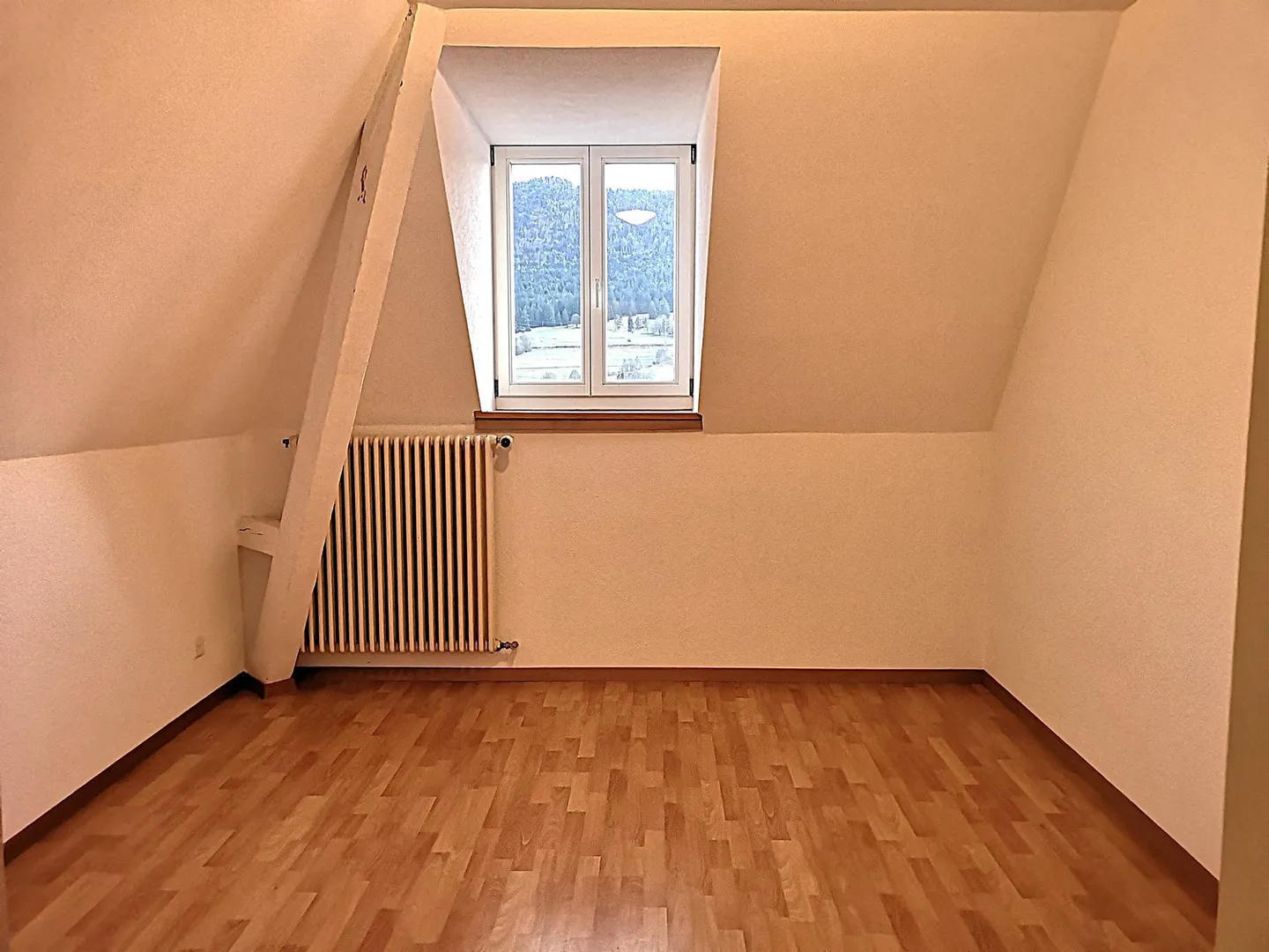 Beautiful single-family or multi-family house with garage, parking spaces, terraces, garden - Photo 44 of 45