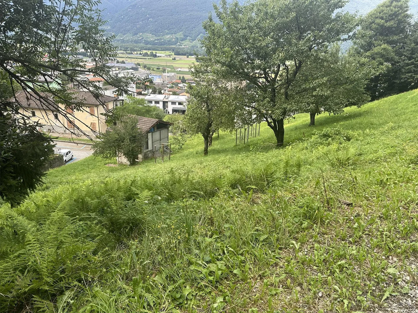 BAULAND IN CADENAZZO – ID 23571 - Foto 1 von 4
