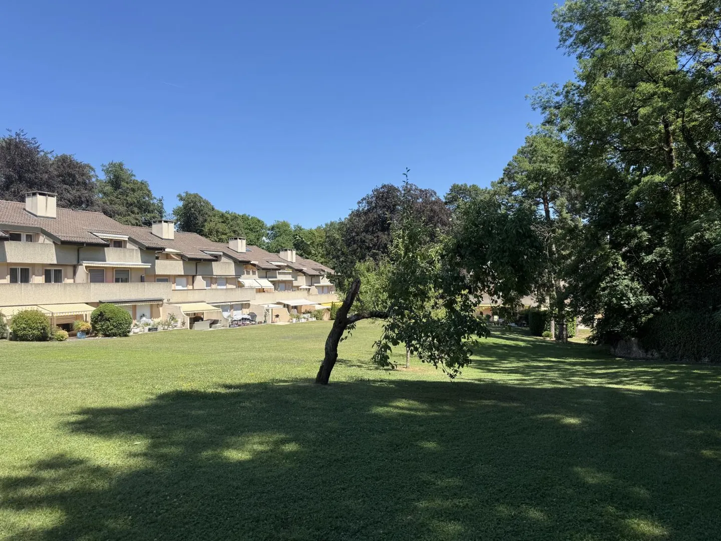 6-Zimmer-Wohnung - Foto 3 von 9
