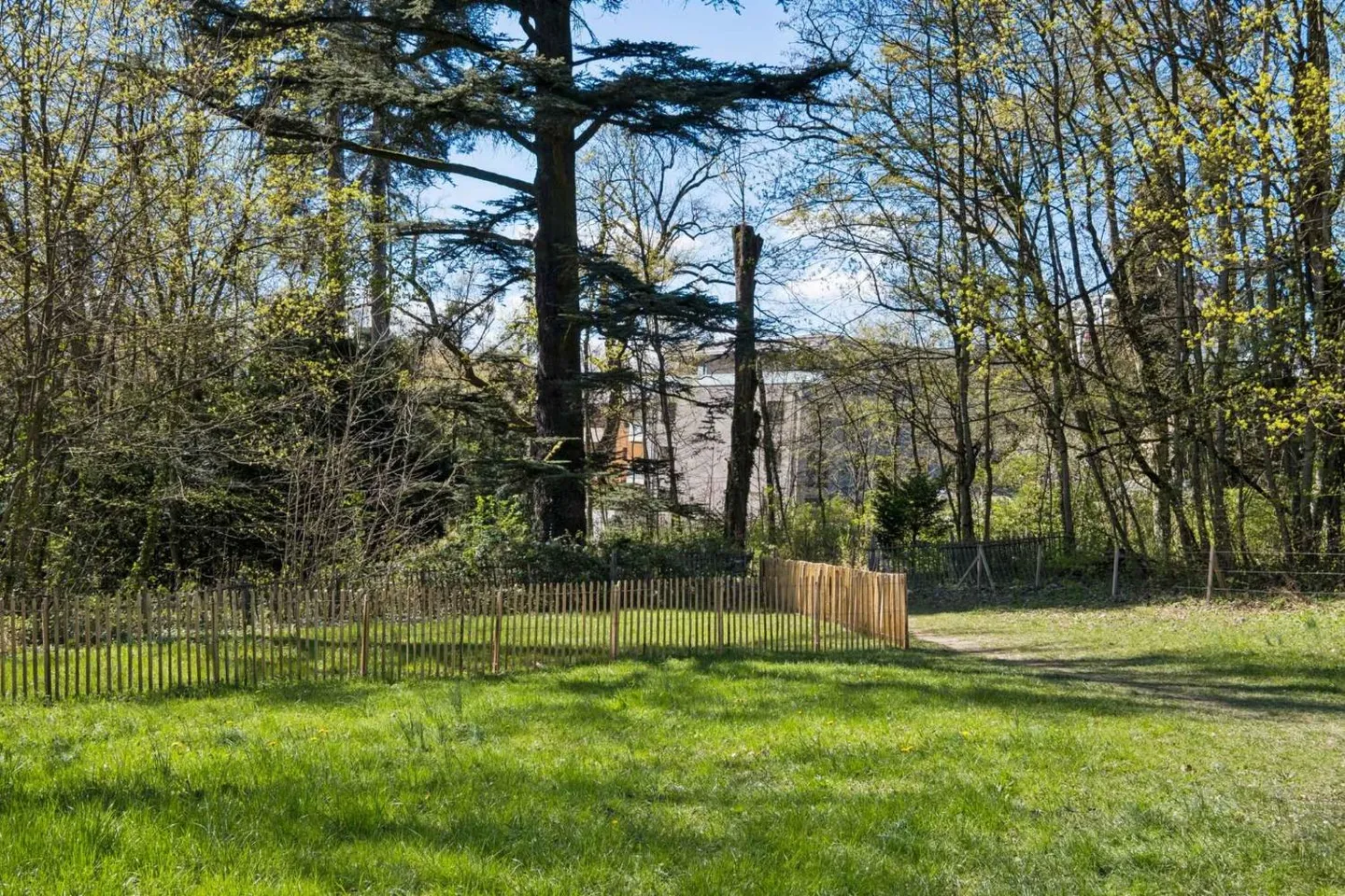 Attique avec grande terrasse - Photo 2 sur 10