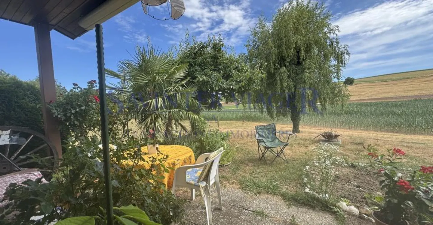 Ideale per gli amanti della natura - Foto 9 di 13