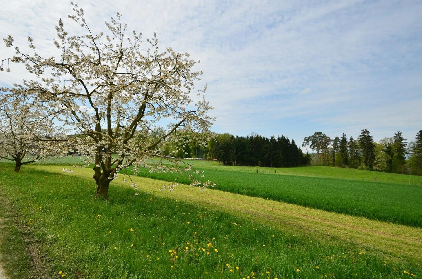 Votre appartement lumineux avec un grand balcon et vue panoramique ! - Photo 10 sur 10