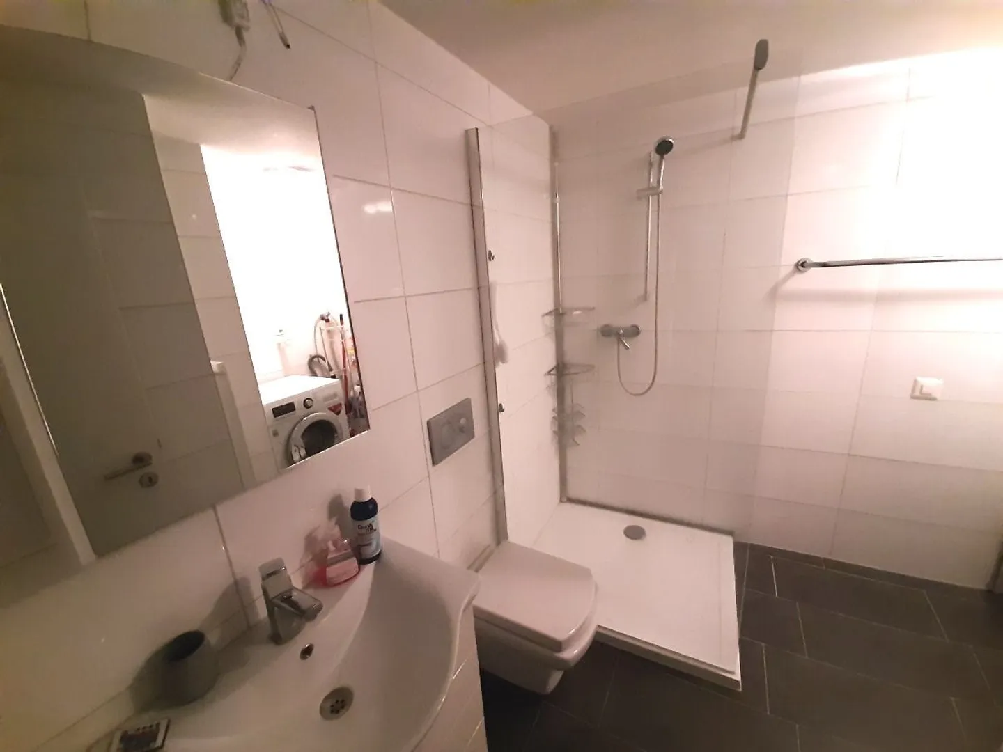 Charming Loft Apartment by the Rhine - Photo 4 of 6