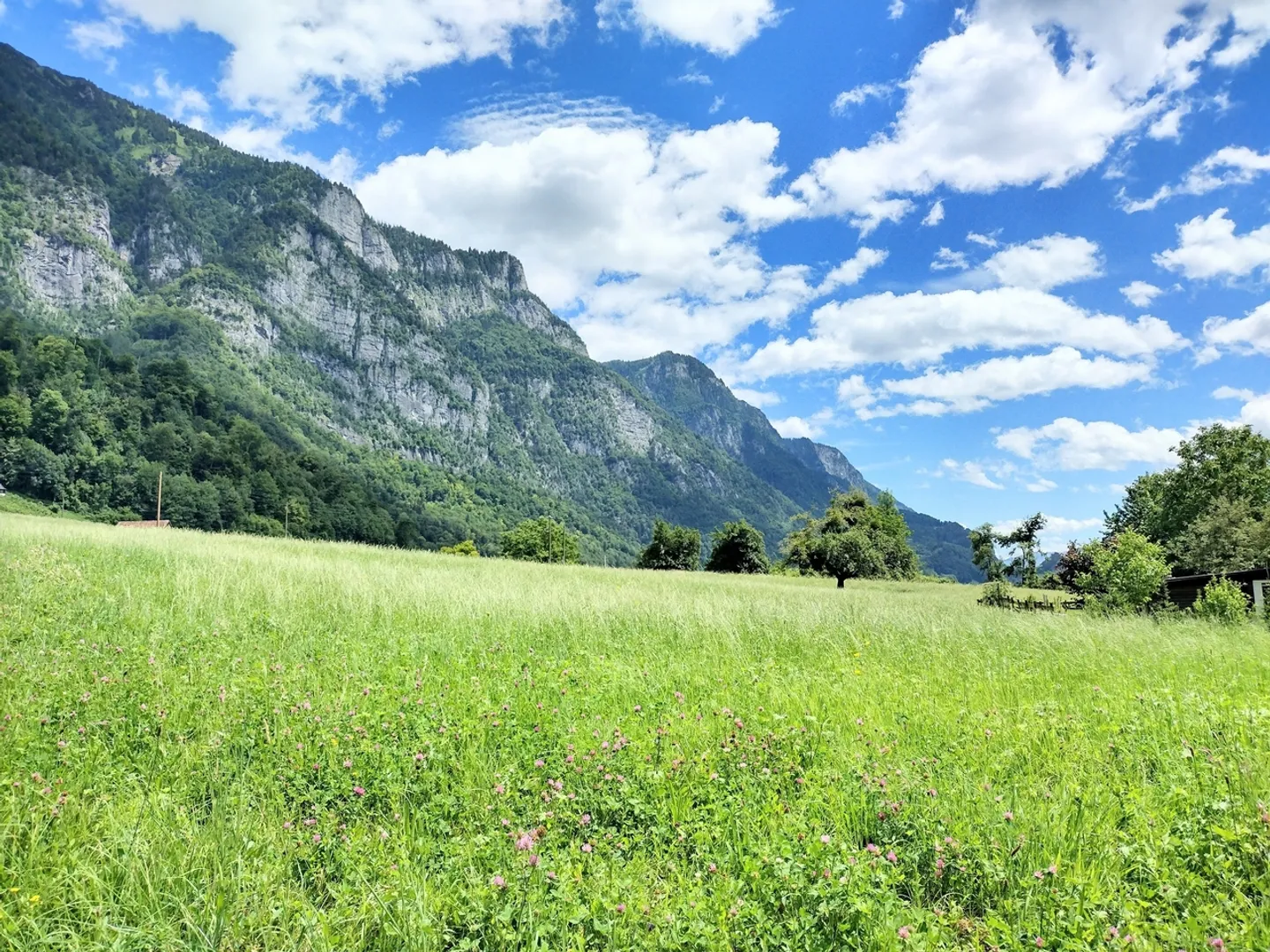 Building land with breathtaking mountain and lake views in Walenstadt (W3 plus Attika) - Photo 2 of 7