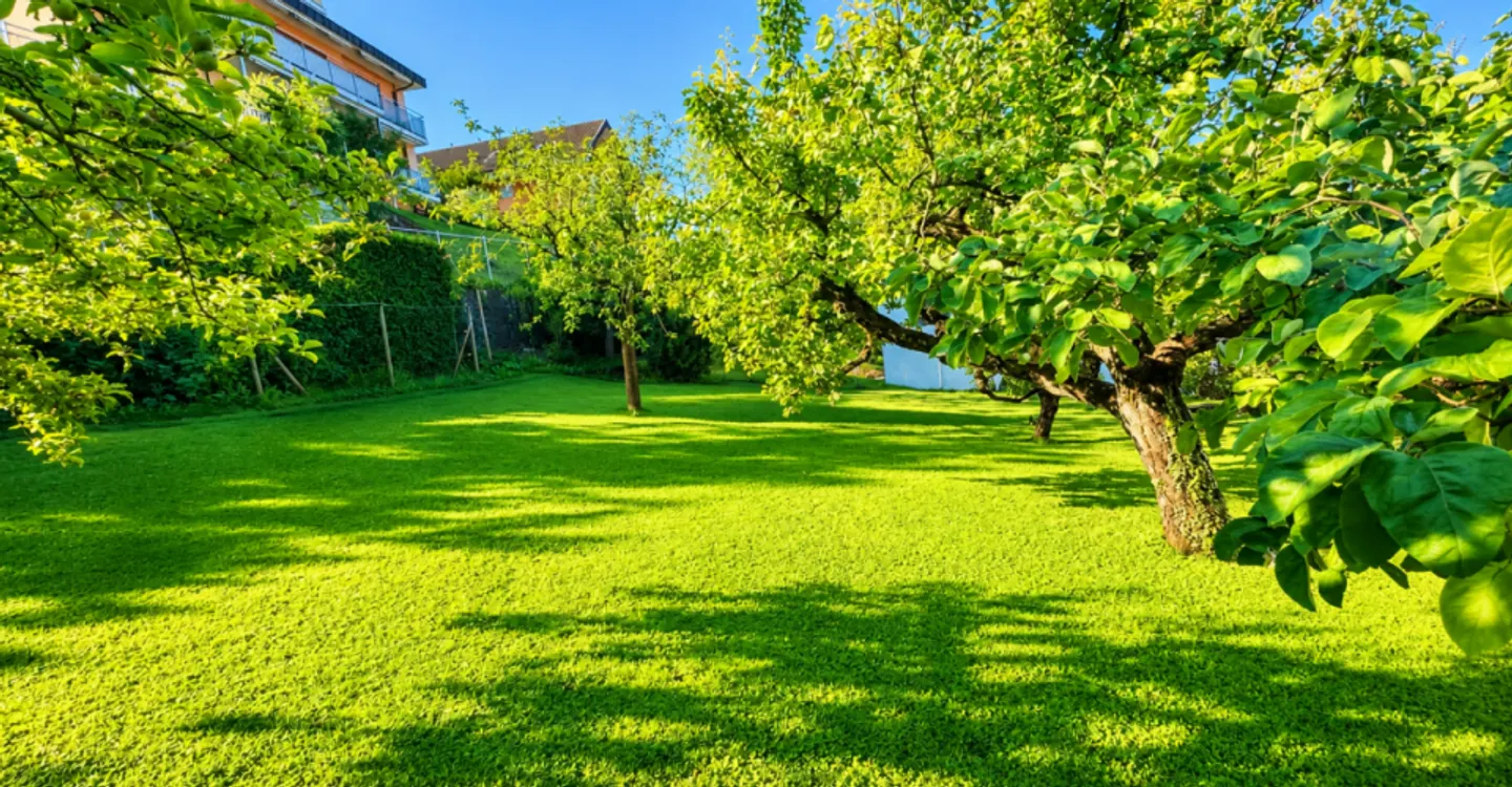 Elegante Villa mit Mietrendite - Foto 3 von 13