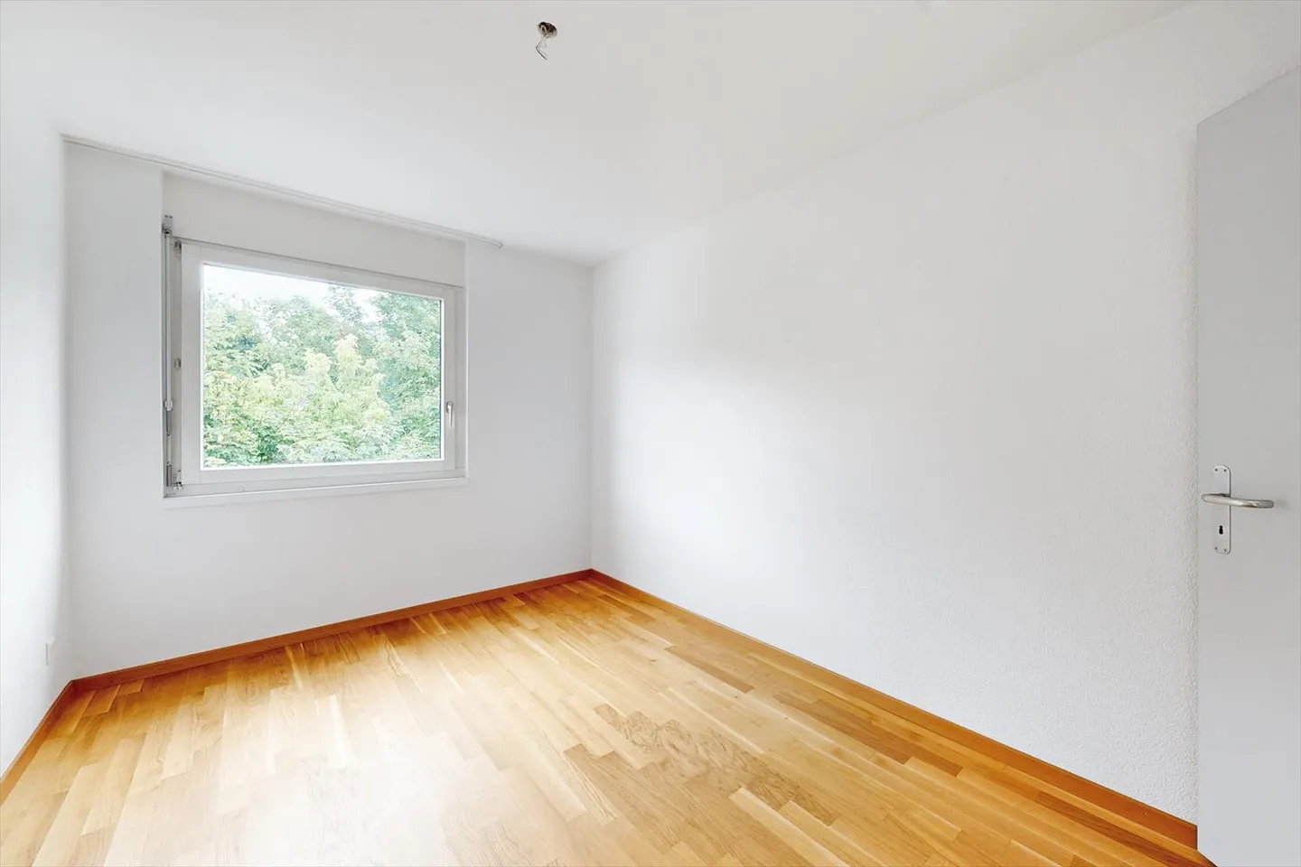 Aimez-vous l'extravagance ? Vous êtes au bon endroit ! - Photo 8 sur 12