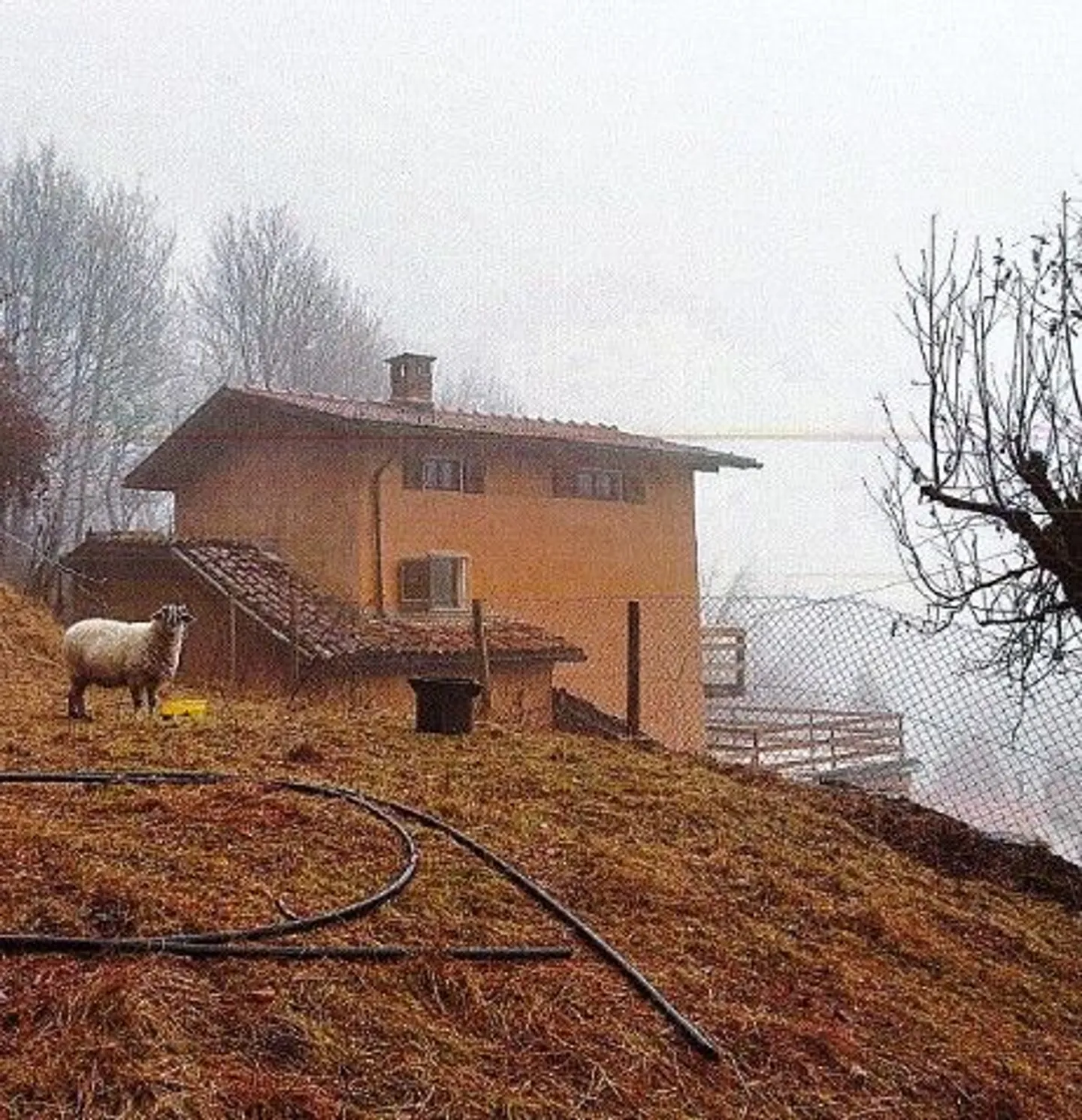 Casa singola in vendita - Foto 2 di 13