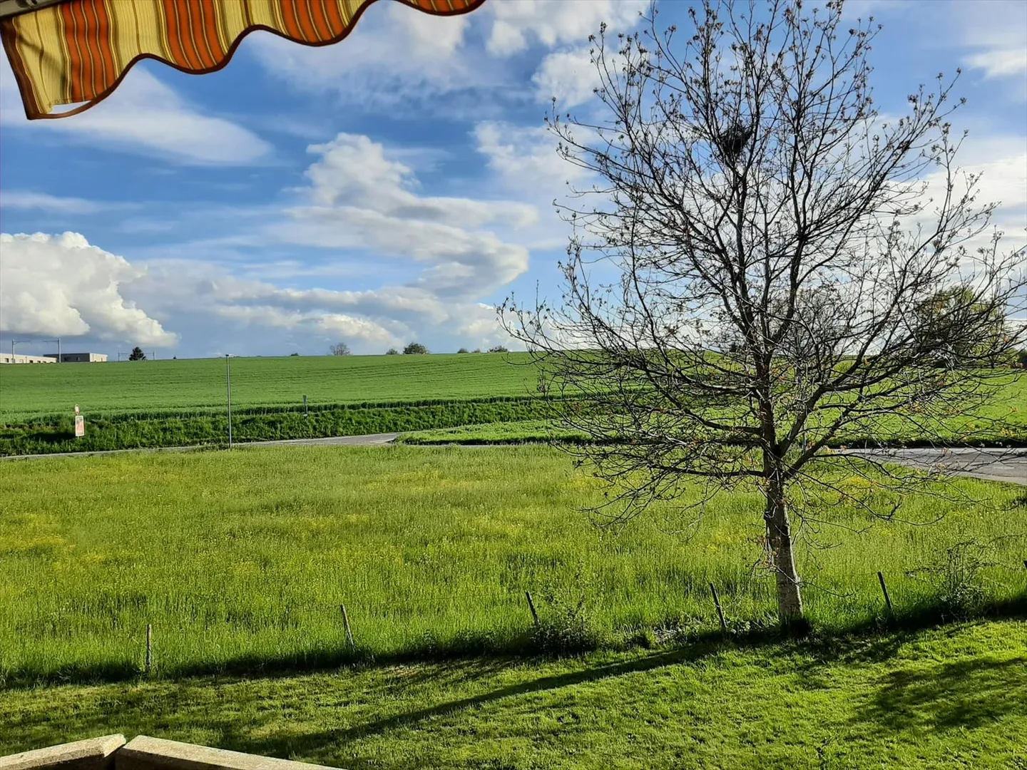 Vivere nel verde - Affittare senza deposito! - Foto 1 di 9