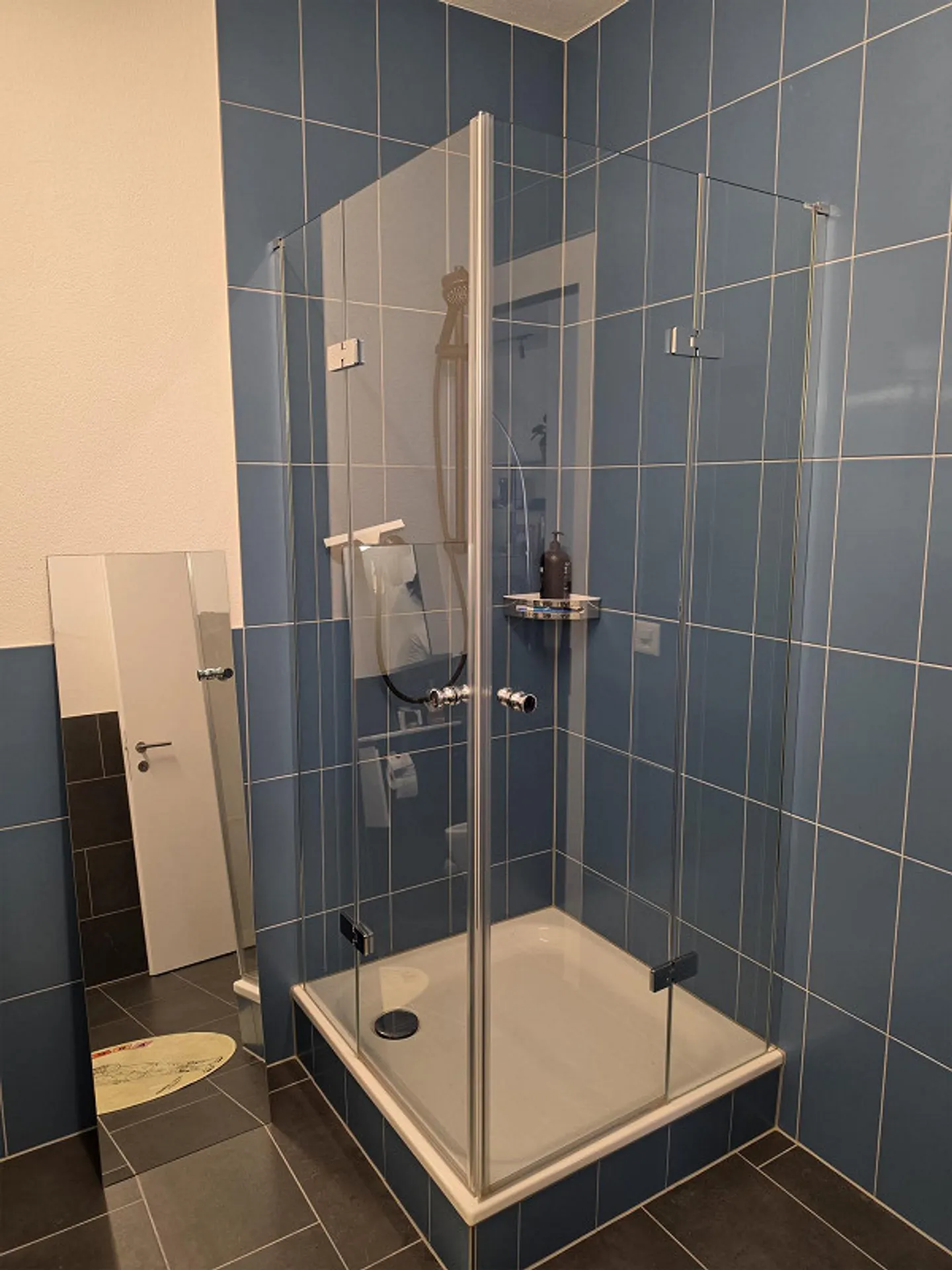 Negozio di vendita/Spazio commerciale nel centro di Rebstein - Foto 6 di 8