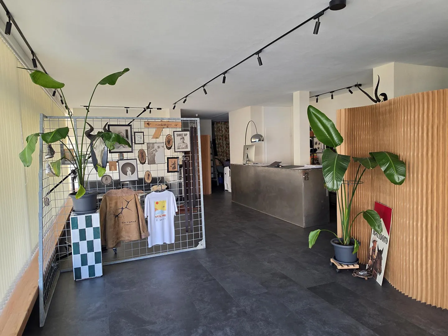 Negozio di vendita/Spazio commerciale nel centro di Rebstein - Foto 3 di 8