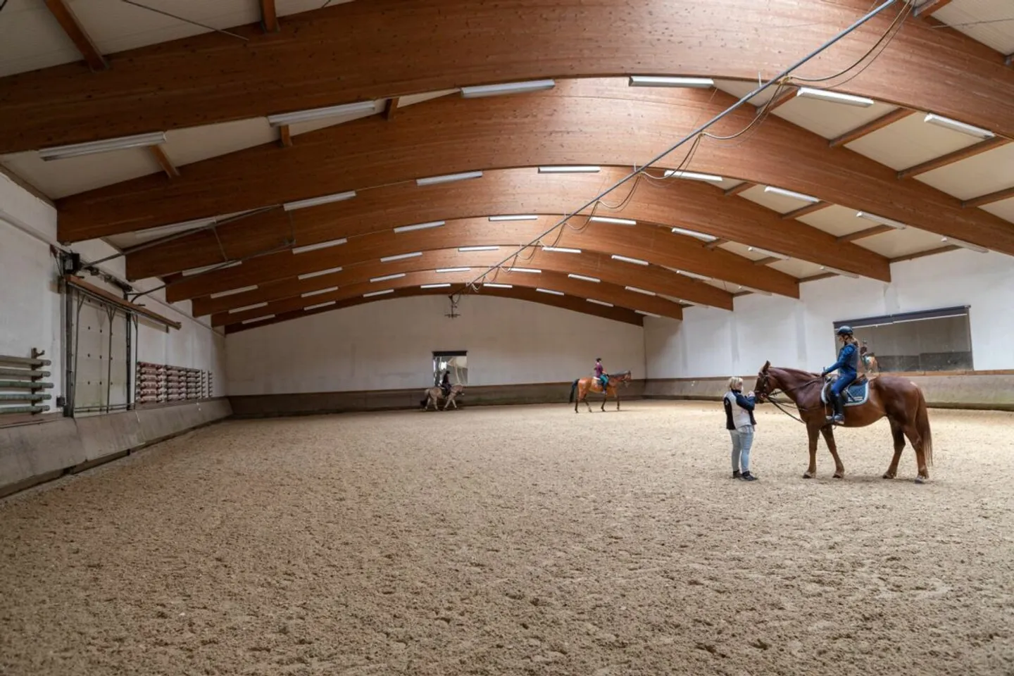 Reitsportimmobilie mit Wohnung/Einzelzimmer und Reitalle - Foto 1 von 6