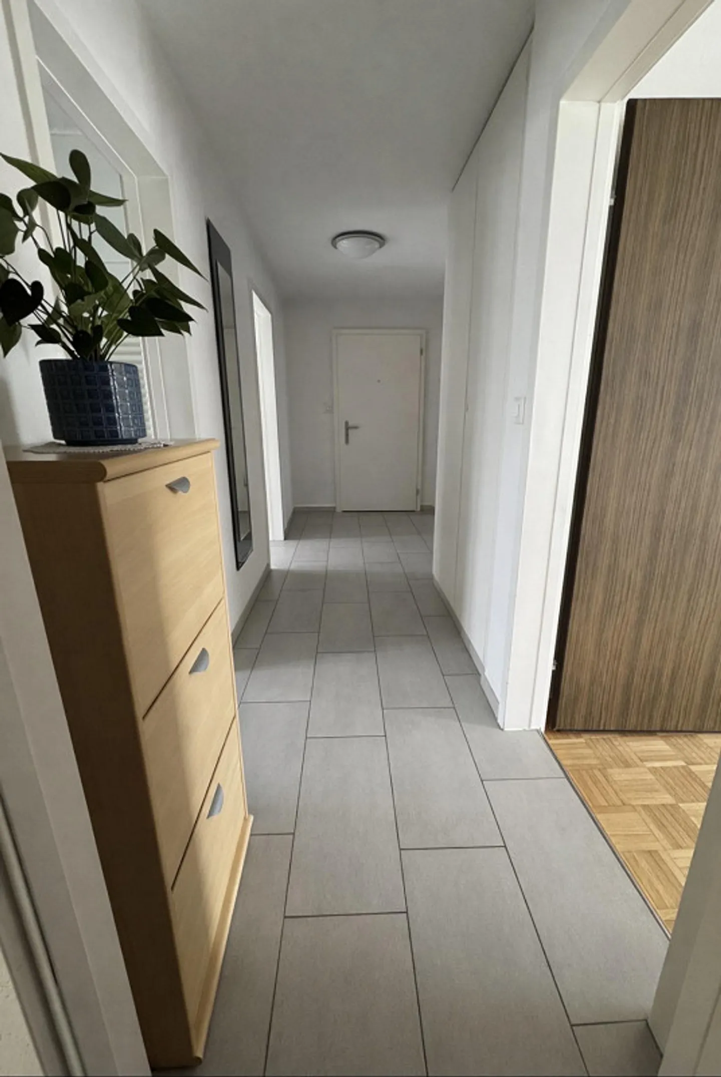 Beautiful apartment in a quiet neighborhood - Photo 9 of 10