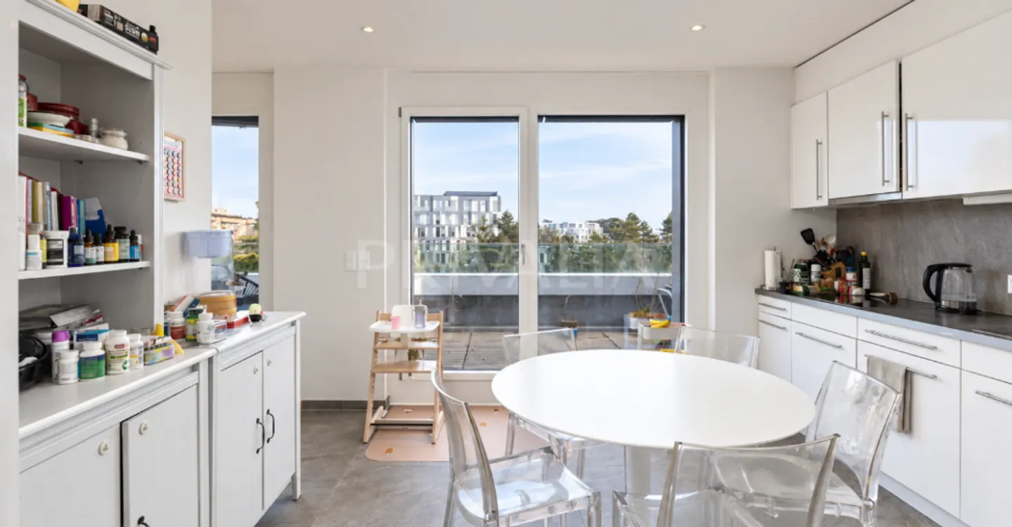 Magnificent contemporary penthouse with terrace - Photo 2 of 7