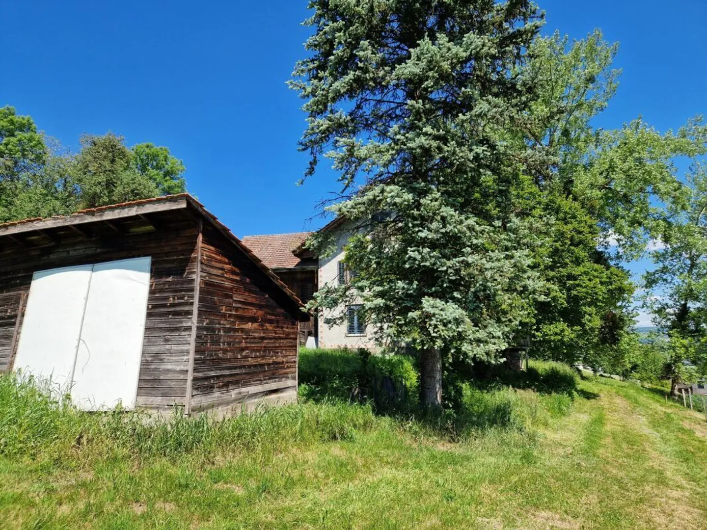 Building Land with Preliminary Project Study - Photo 3 of 7