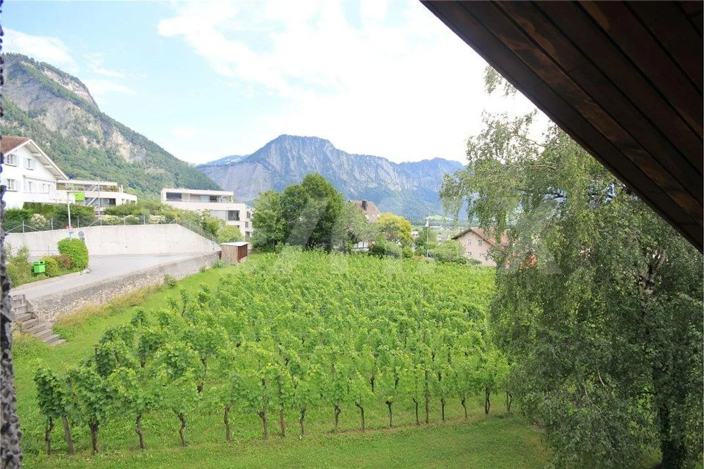Vivre dans les vignobles de Malans - Maison individuelle majestueuse à louer - Photo 13 sur 13
