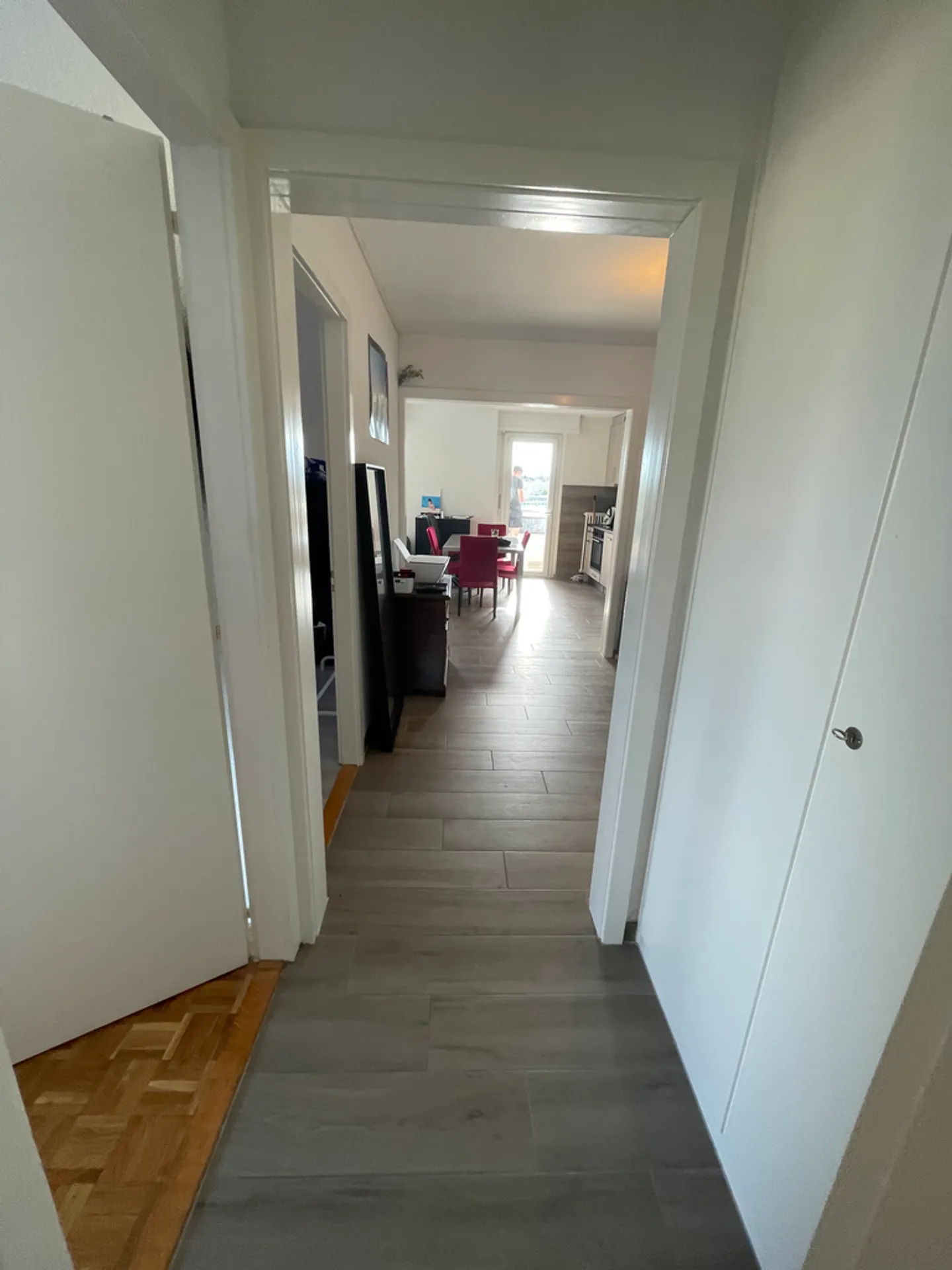 Appartamento Incantevole a Renens - Foto 6 di 10