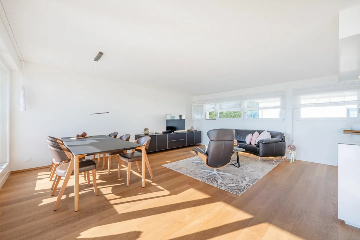 Double Family House 6.5 Rooms with Studio - Photo 5 of 13