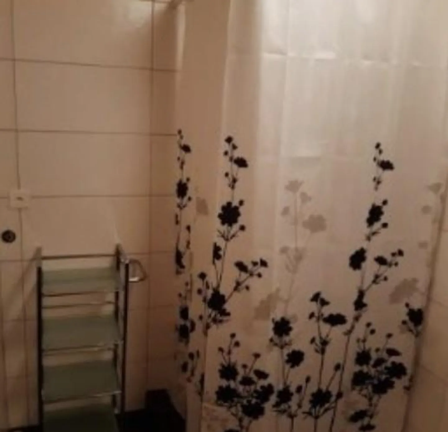 Furnished Studio in Stein SG - Photo 6 of 12