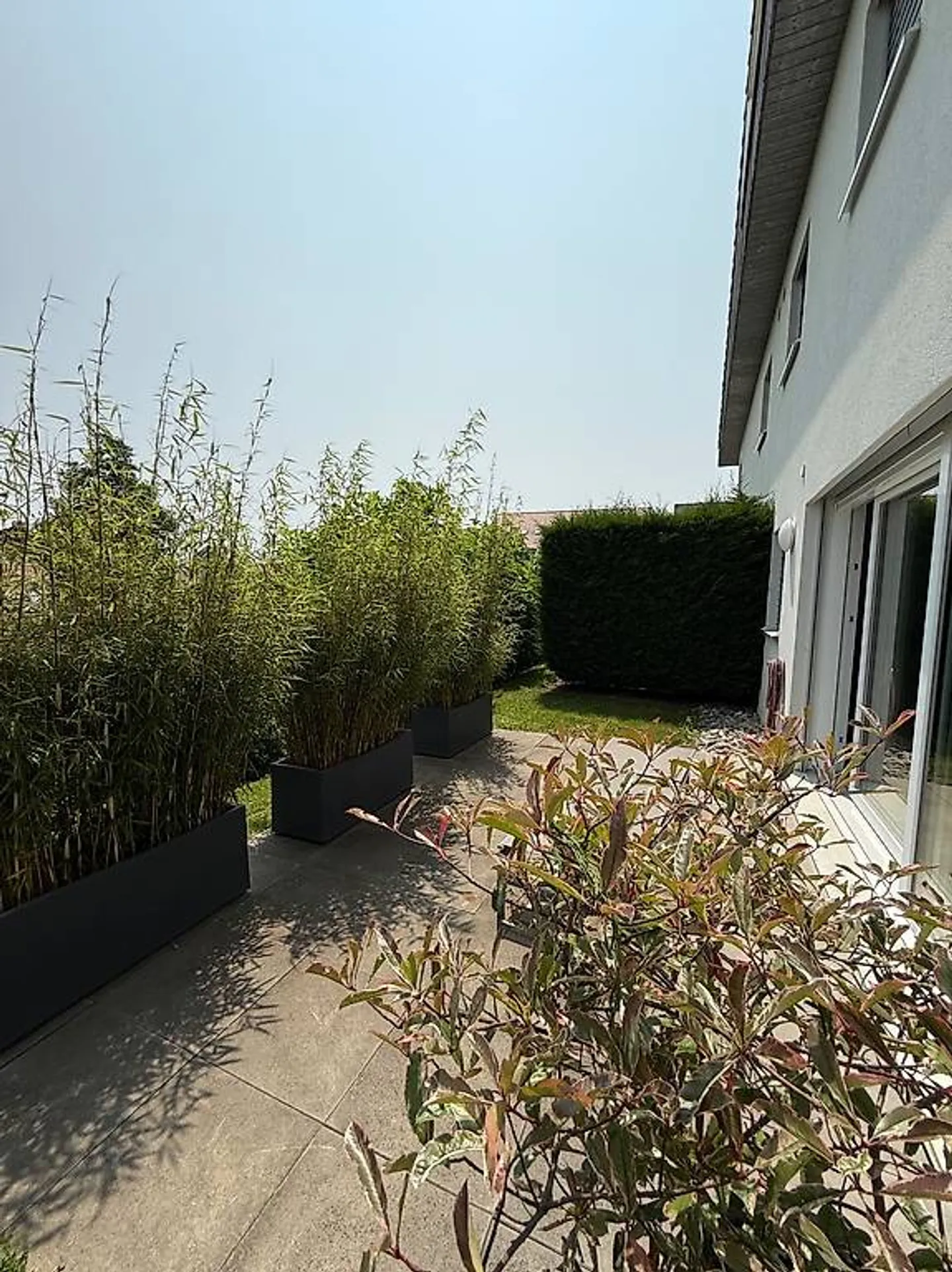 Appartamento con terrazza 2 camere - Foto 1 di 5