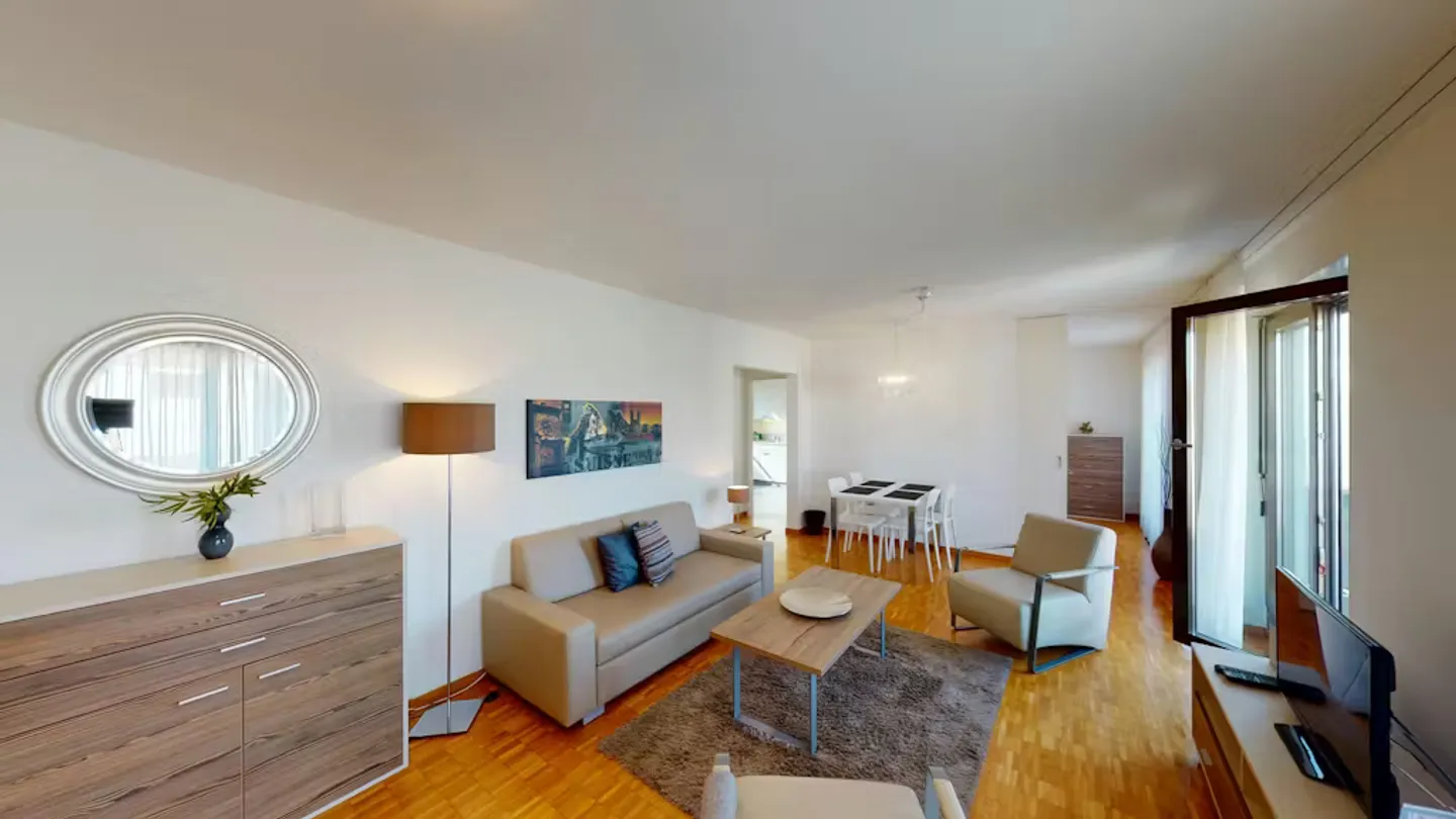 Charming Apartment in Basel - Photo 3 of 9