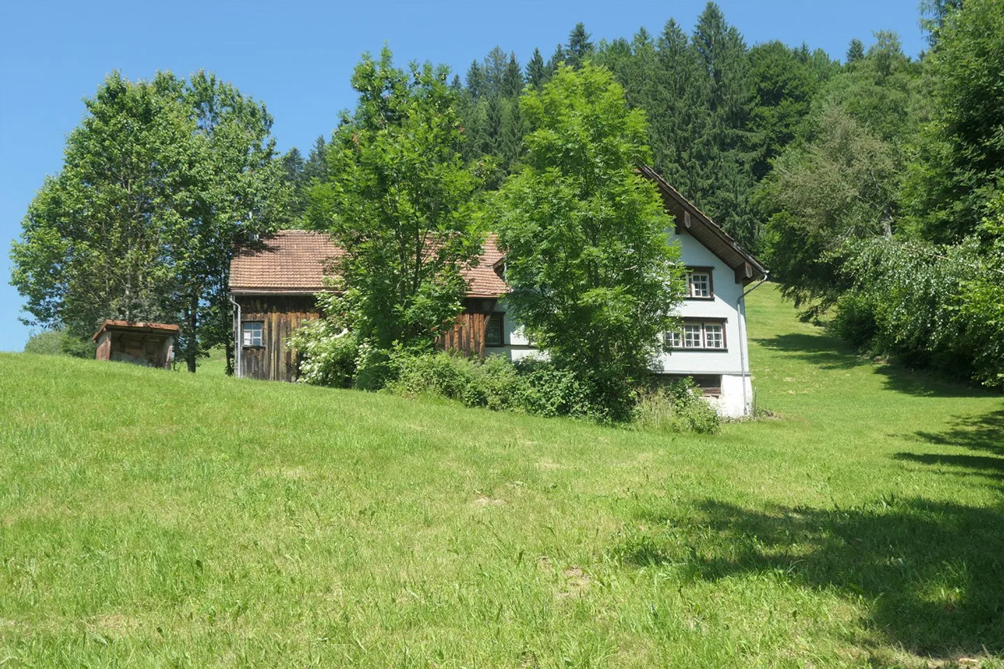 Fattoria da ristrutturare nel verde - Foto 2 di 3