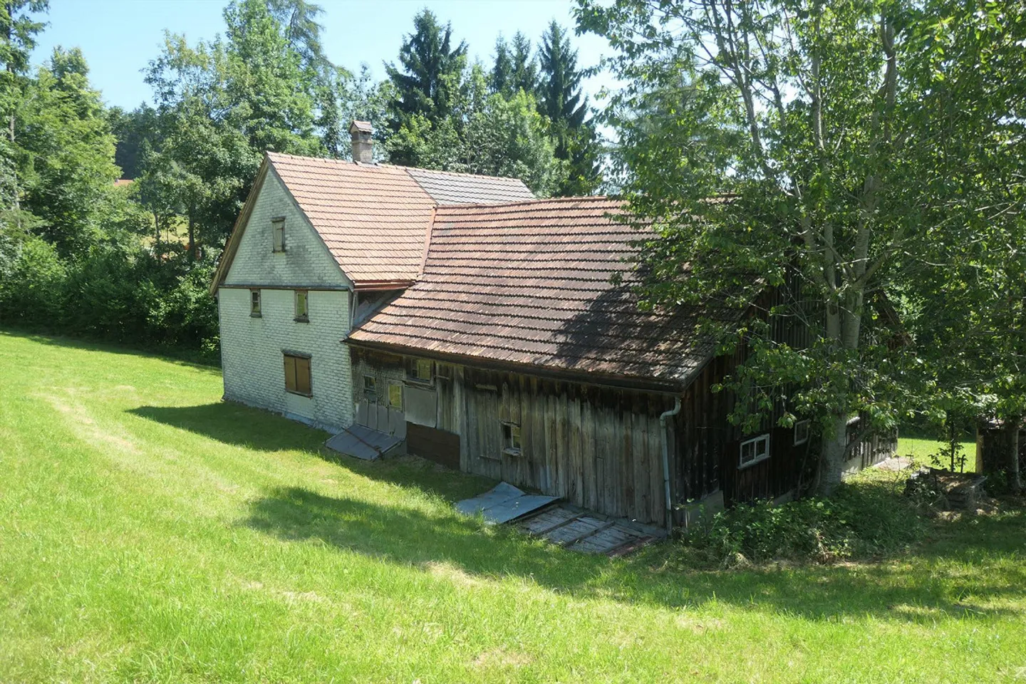 Fattoria da ristrutturare nel verde - Foto 3 di 3