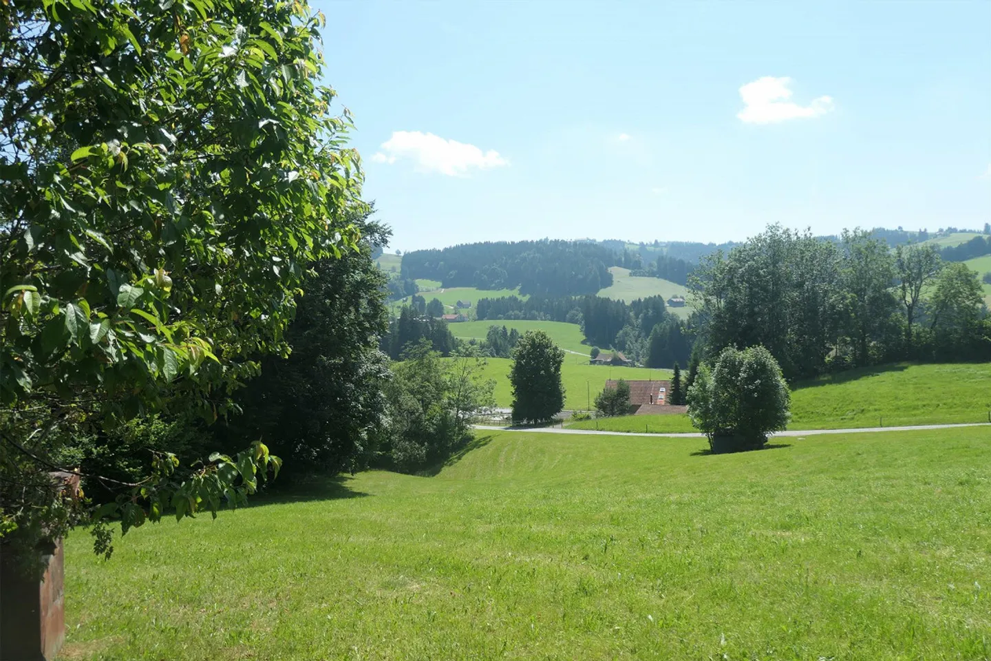 Fattoria da ristrutturare nel verde - Foto 1 di 3