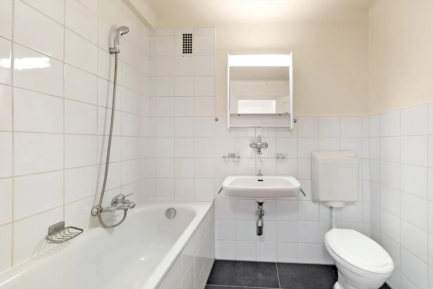 A deux pas du lac ! - Photo 8 sur 11