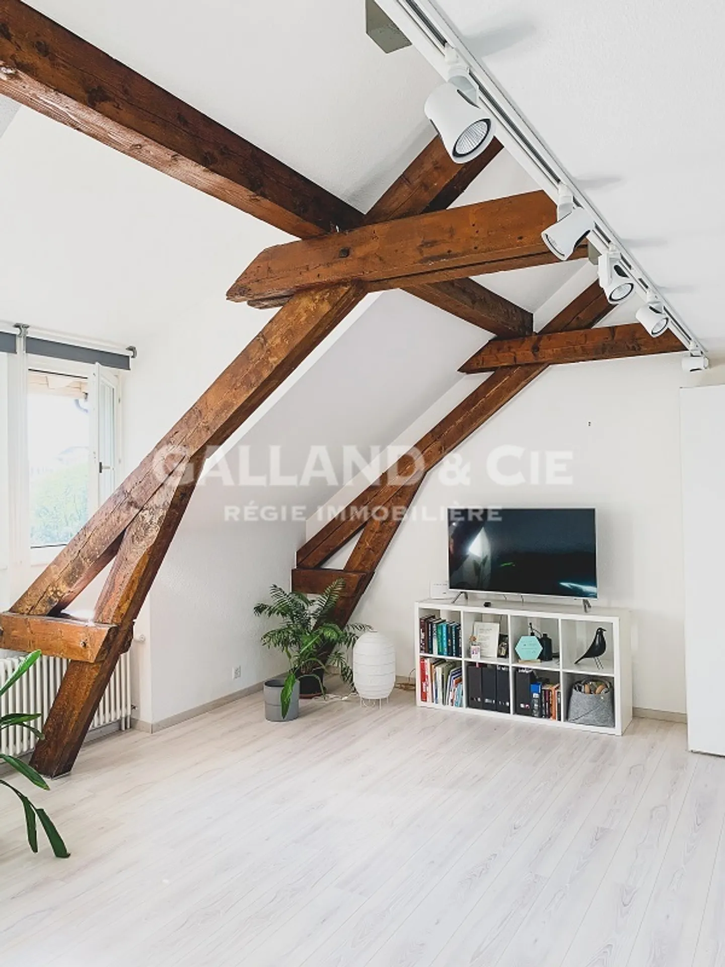 Feel the sport, feel Pontaise - Live in the heart of the action! - Photo 2 of 9