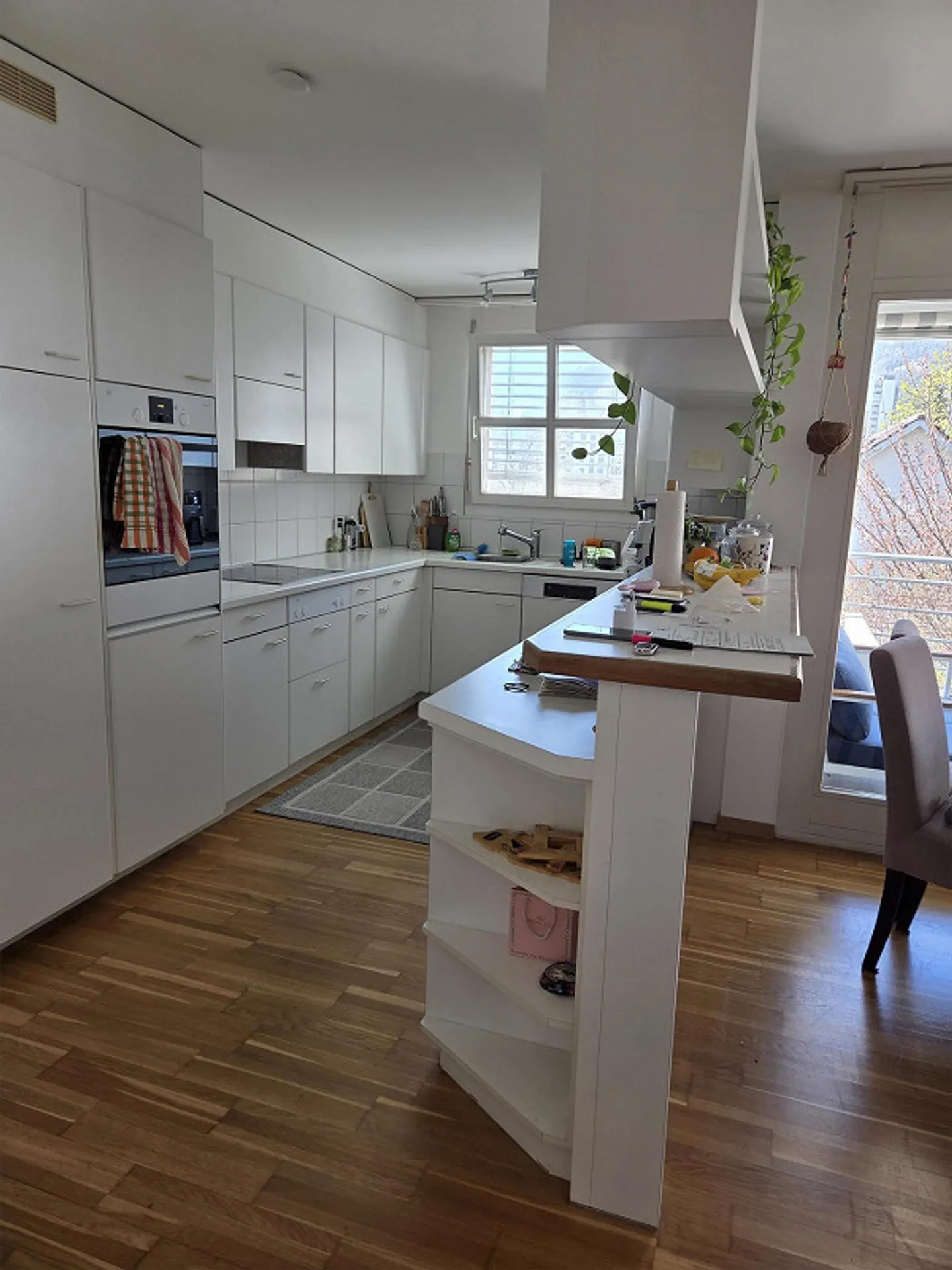 Appartamento 4,5 locali - Foto 3 di 4