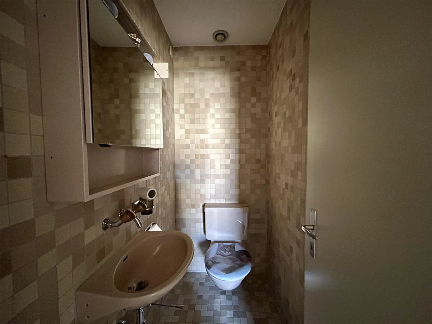 4.5 Room Apartment in Wädenswil - Photo 10 of 11