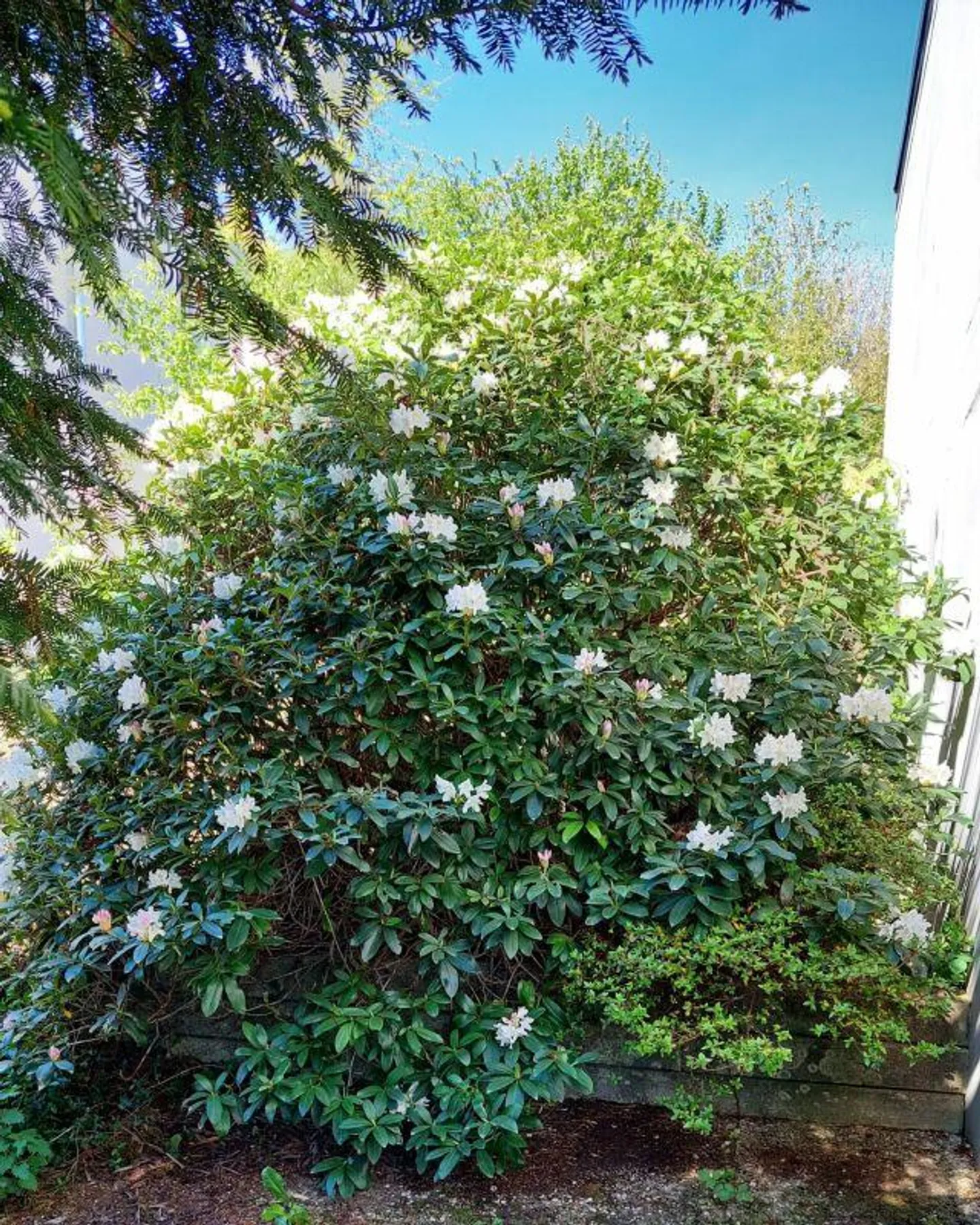 Aussergewöhnliche Wohnung mit Aussicht - Foto 7 von 8
