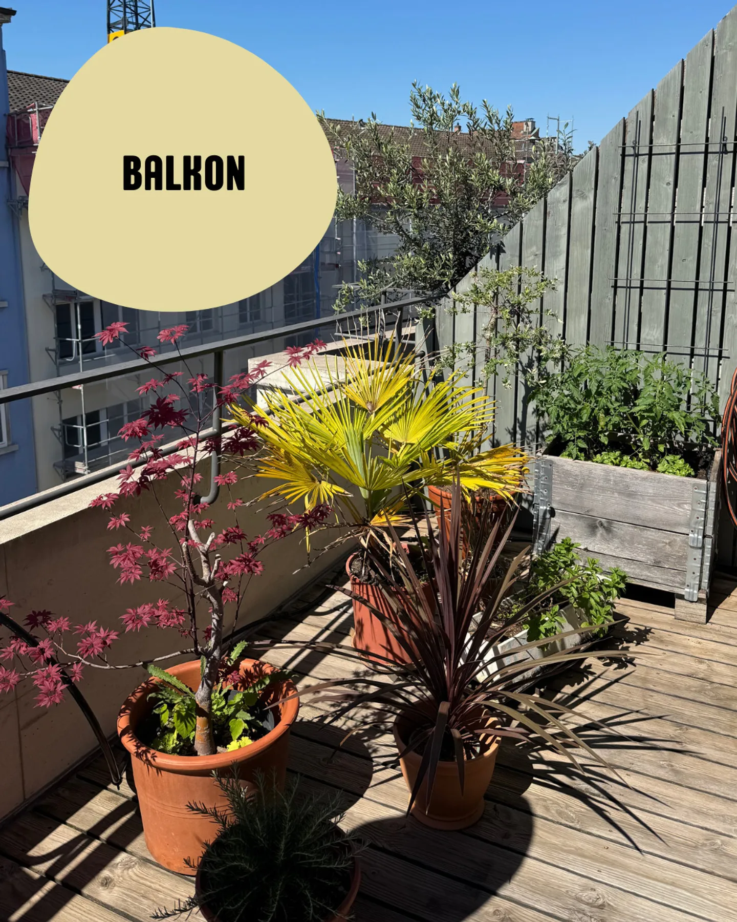 Appartamento in Città con Terrazza - Foto 10 di 10