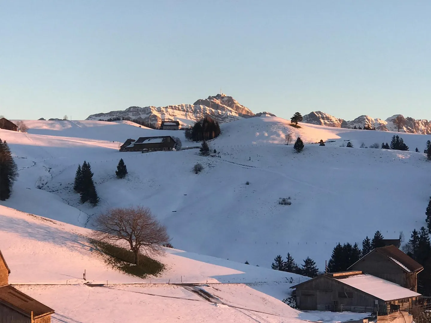 2.5 Zimmer Gartenwohnung an traumhafter Lage im Toggenburg - Foto 20 von 21