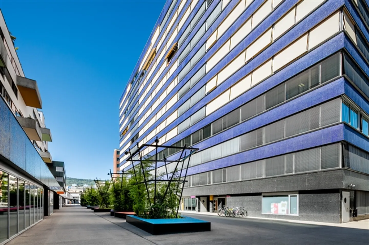 James Albisrieden - Living with Service! - Photo 1 of 13