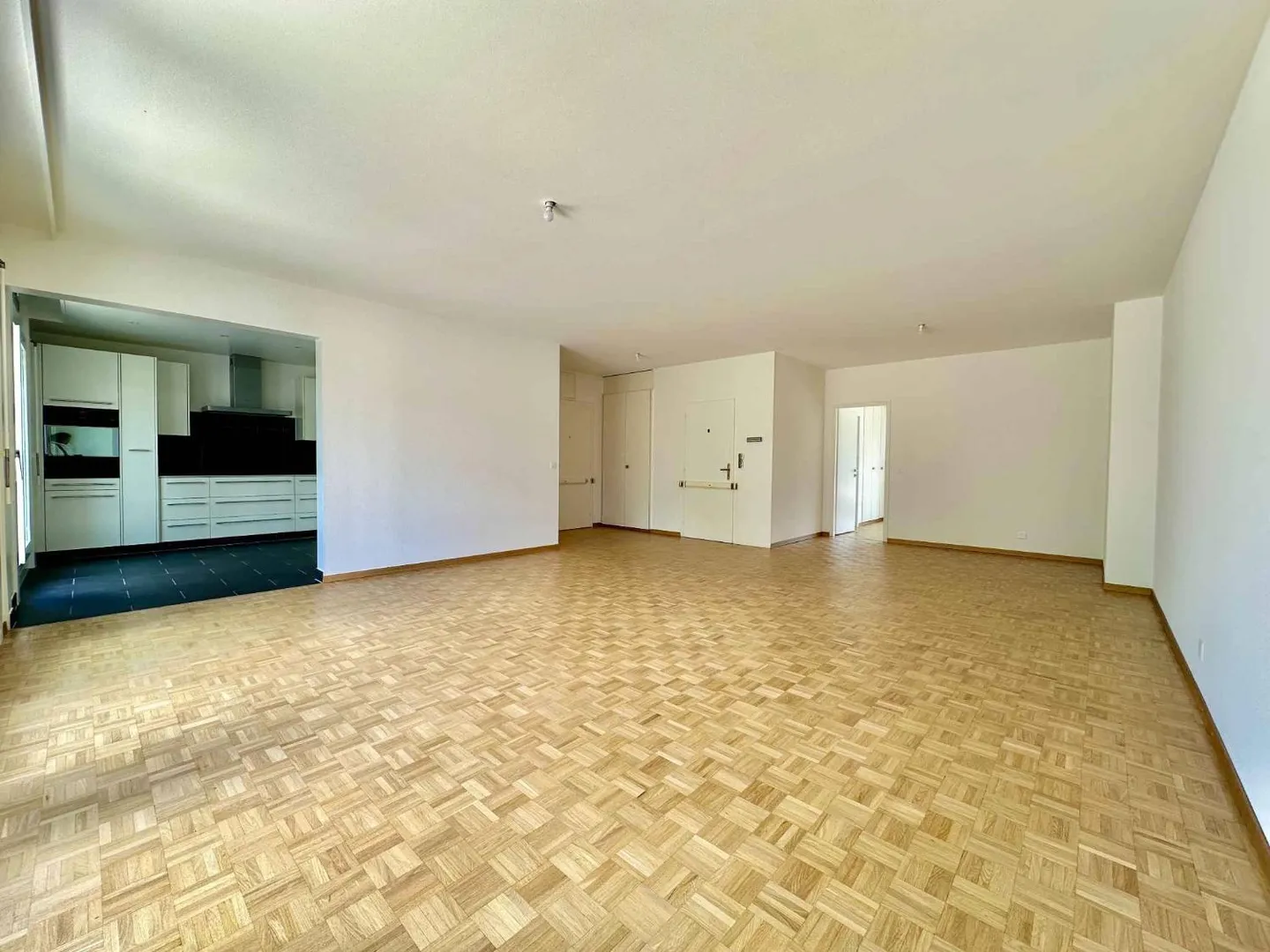 Penthouse in Eaux-Vives, Geneva - Photo 3 of 5