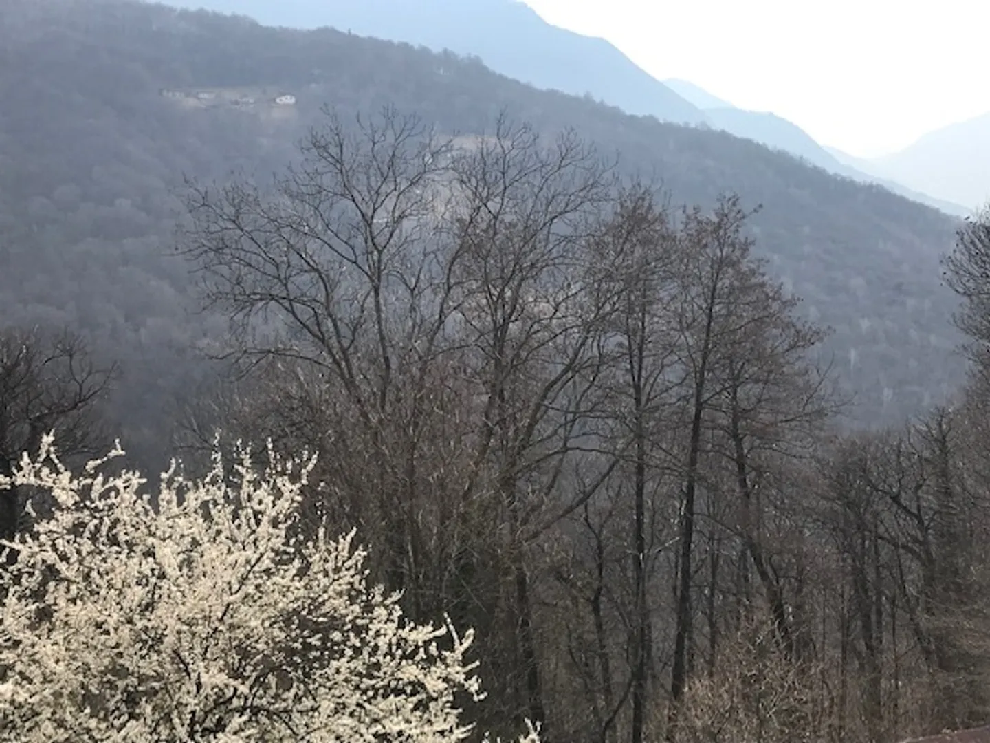 Terreno edificabile in vendita - Foto 1 di 1