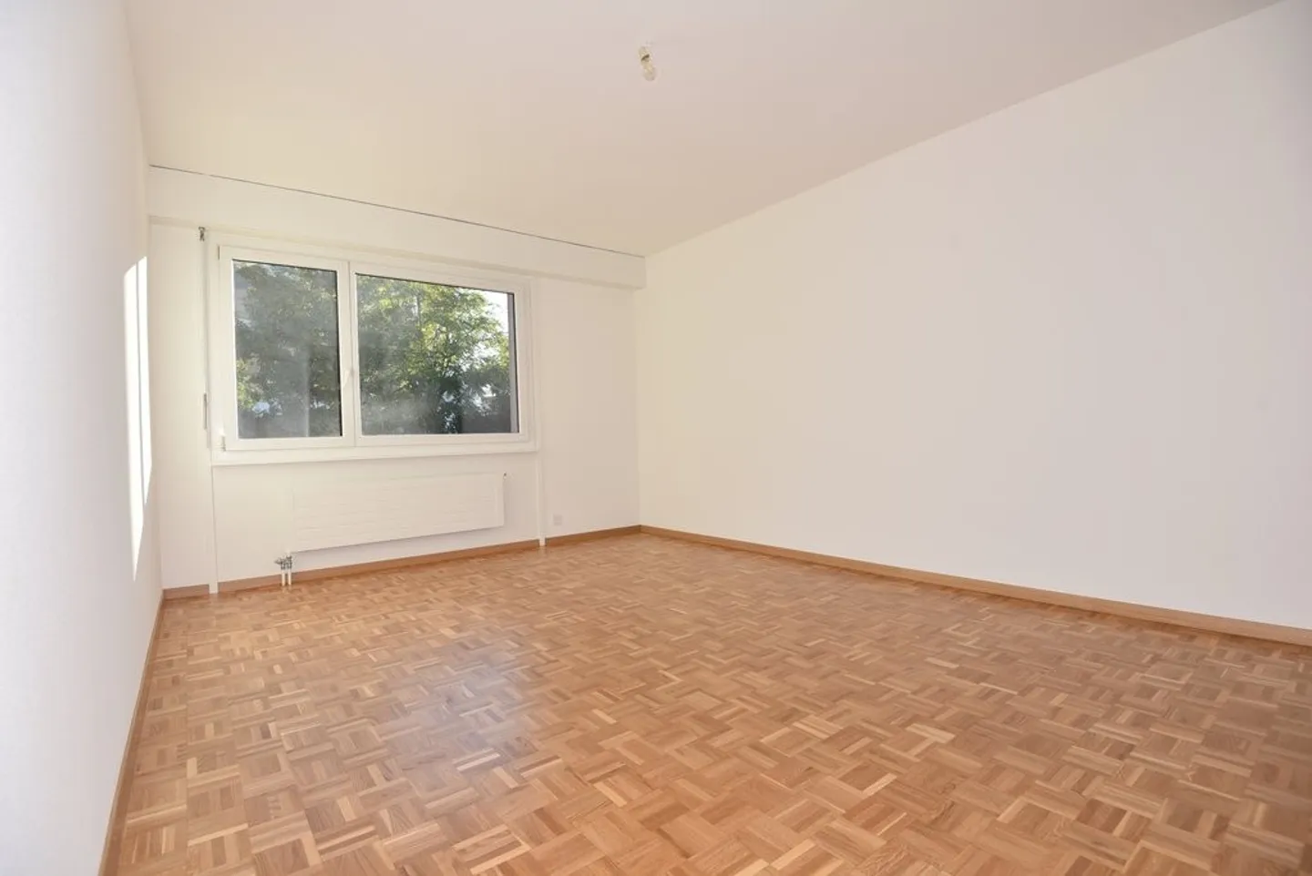 Spacious and Bright Accommodation - Photo 5 of 9